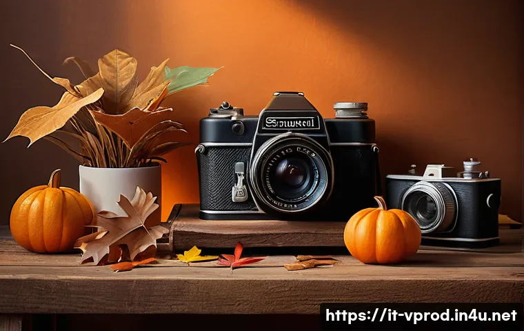 7 trucchi per sfruttare la luce e la composizione fotografica come un professionista 4 촬영 구도와 빛 활용 팁 관련 이미지 2